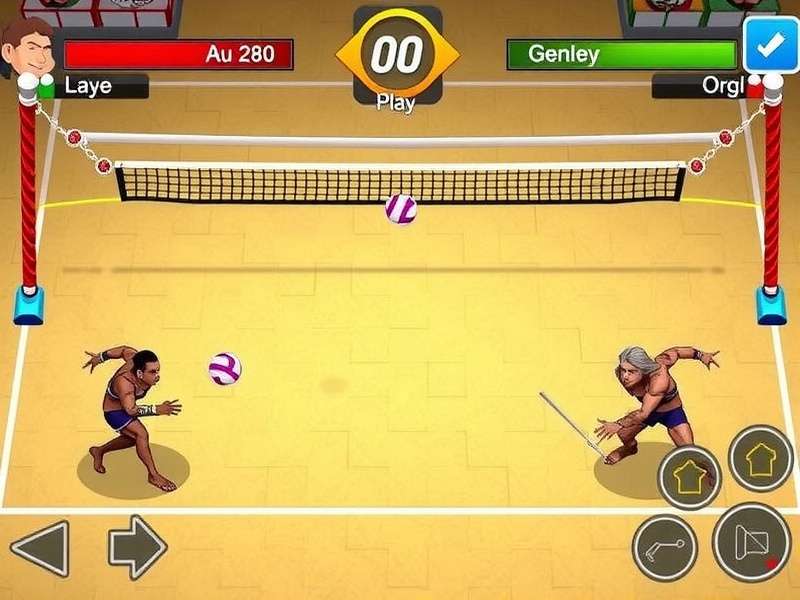 Mahal Volley King Gameplay Screenshot